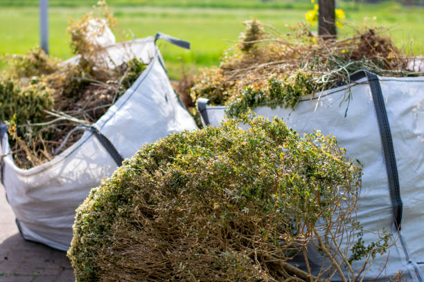 Best Junk Removal Near Me  in Rm Beach, WA